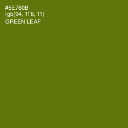 #5E760B - Green Leaf Color Image